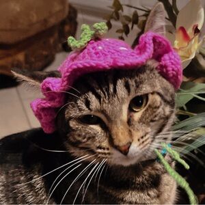Crochet Strawberry Pink Bucket hat for Cats